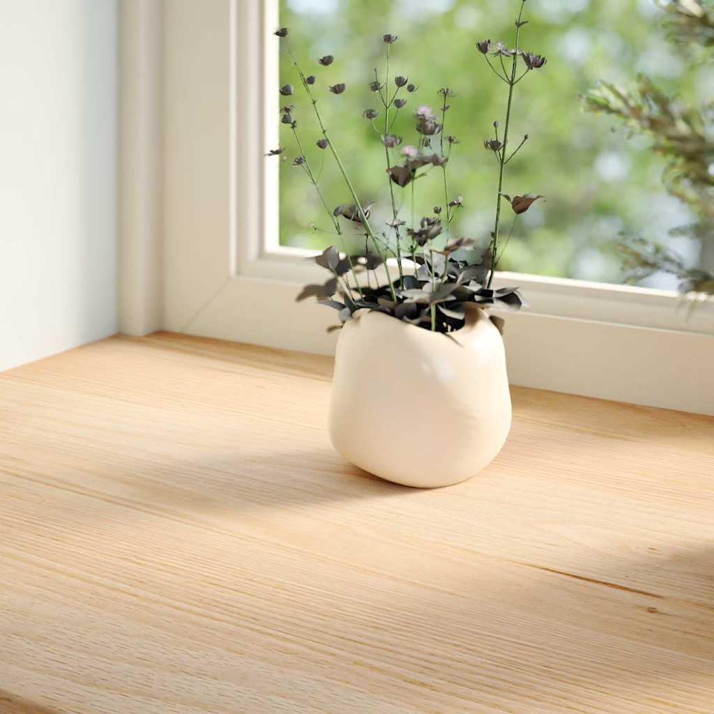Davanzali 2 pz Non Trattati 160x20x2cm Legno Massello di Rovere