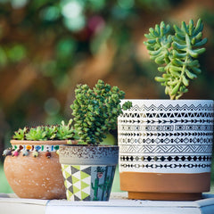 Collection image for: Verde e Design: Piante, Vasi e Supporti