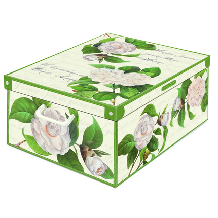 LAVATELLI SCATOLA CAMELIE 39x50x24