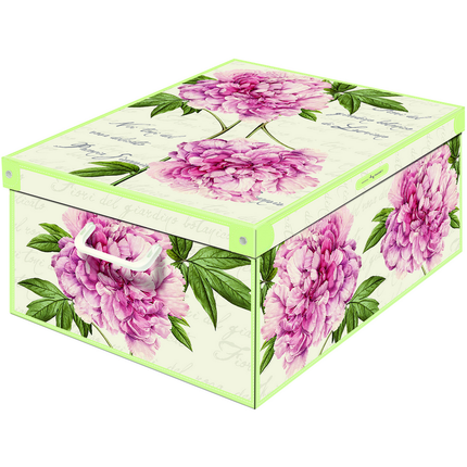 LAVATELLI SCATOLA PEONIE 39x50x24