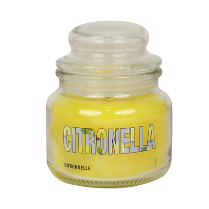 CITRONELLA DI JAVA GIARA PICCOLA