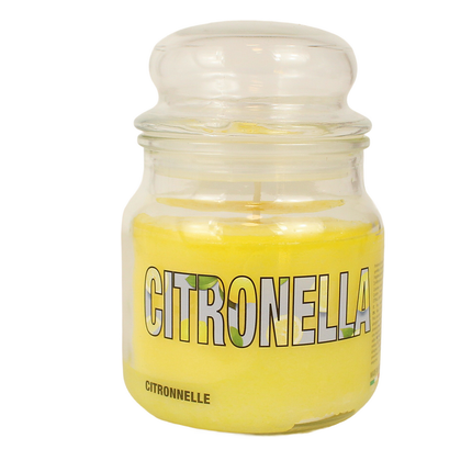 CITRONELLA ZUCCHERIERA MEDIA 65 ORE