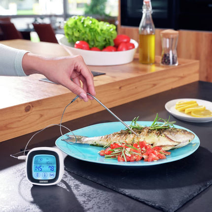 Termometro Digitale per Arrosti