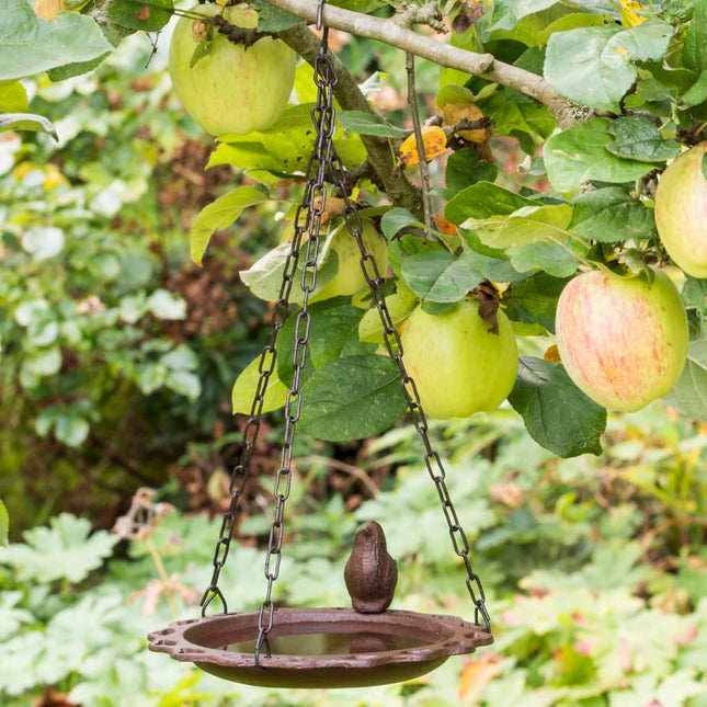 Bagnetto per Volatili 20,5 cm Marrone