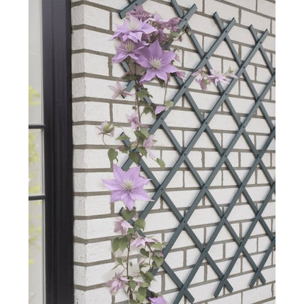 Traliccio da Giardino 50x150 cm in PVC Antracite