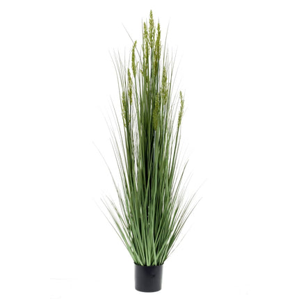 Erba di Grano Artificiale 150 cm
