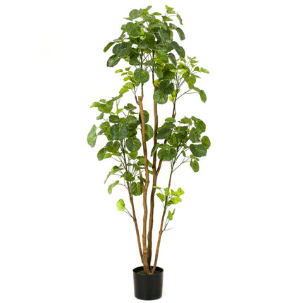 Albero di Poliscia Artificiale in Vaso 160 cm