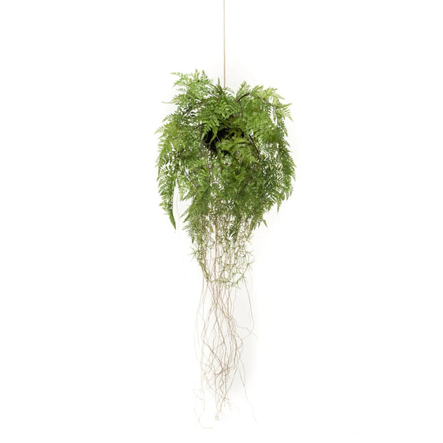 Felce Artificiale Appesa con Radici 35 cm
