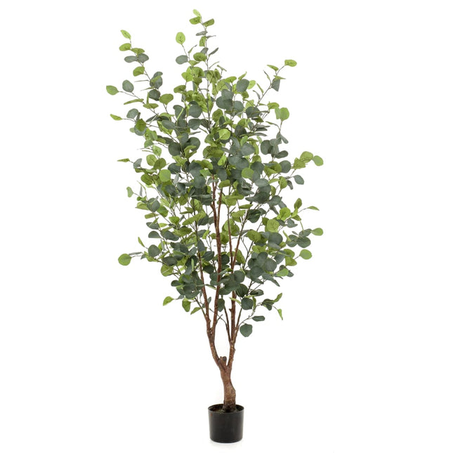 Albero di Eucalipto Artificiale in Vaso 140 cm