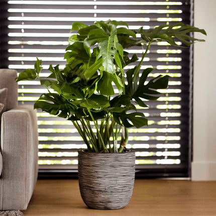 Fioriera Nature Rib Rotonda 43x41 cm Antracite KOFZ933