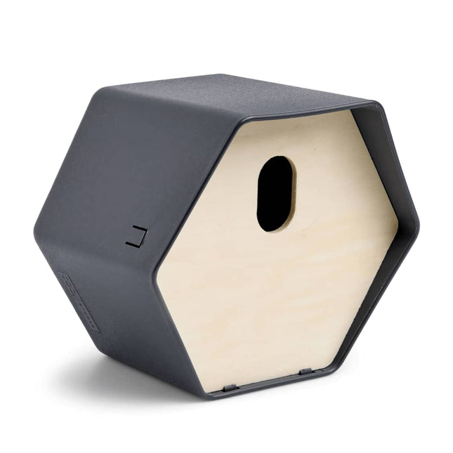 Casetta per Uccelli Hive 2 19x23x20 cm Foro Ovale Antracite