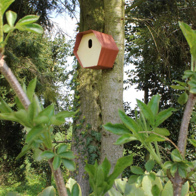 Casetta per Uccelli Hive 2 19x23x20 cm Foro Ovale Marrone
