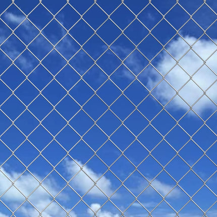 Recinzione a Rete con Pali e Spuntoni Acciaio Zincato 25x1,5 m