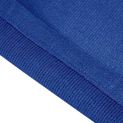 Tappeto da Tenda 250x400 cm Blu