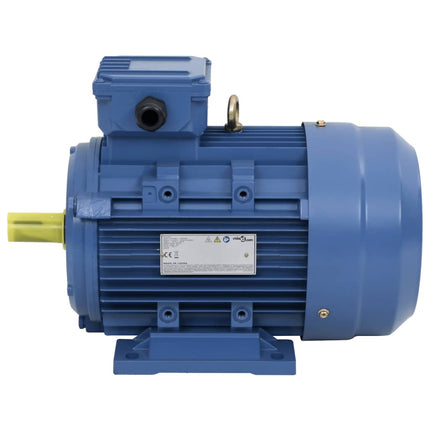 Motore Elettrico Trifase in Alluminio 4kW/5,5HP 2 Poli 2840 RPM