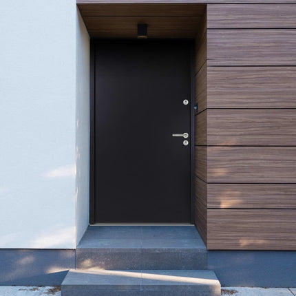 Porta Ingresso in Alluminio Antracite 100x200 cm
