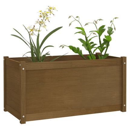 Fioriera Giardino Marrone Ambra 100x50x50cm Legno Massello Pino