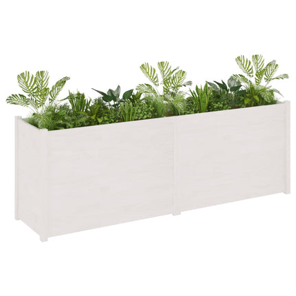 Fioriera da Giardino Bianca 200x50x70 cm in Legno di Pino