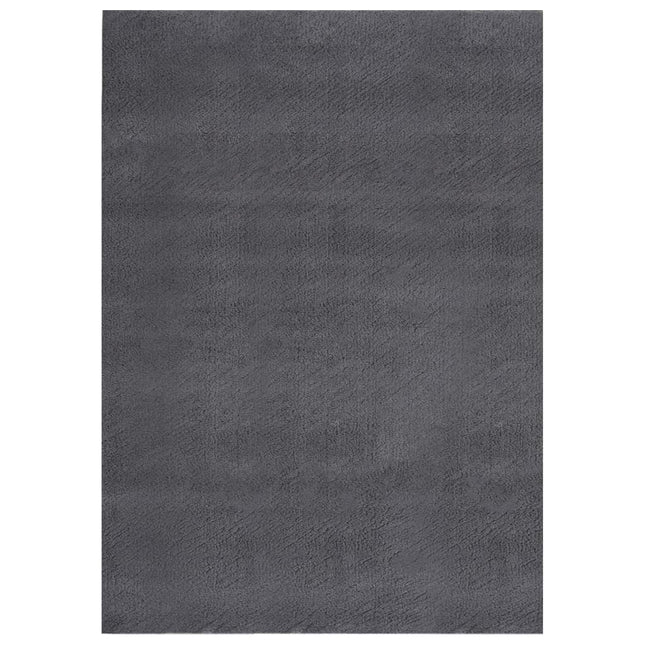 Tappeto Soffice Pelo Corto 120x170 cm Antiscivolo Antracite