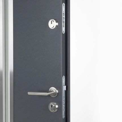 Porta Ingresso Antracite 100x200 cm in Alluminio
