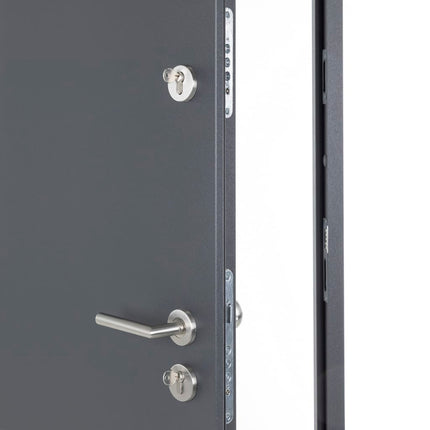 Porta Ingresso Antracite 110x207,5 cm in Alluminio