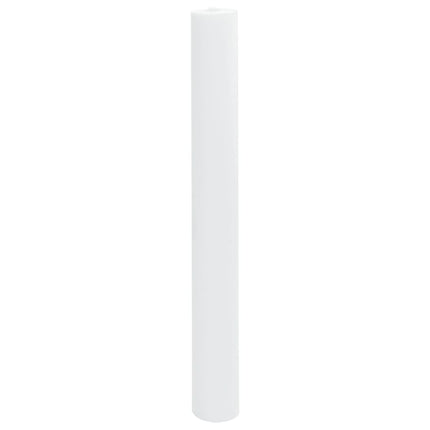 Copertura per Piante 2 Rotoli 70 g/mÃ‚Â² 10x1,6 m