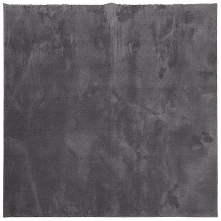 Tappeto Pelo Corto HUARTE Morbido Lavabile Antracite 120x120 cm