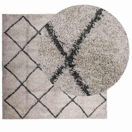 Tappeto Shaggy PAMPLONA Pelo Lungo Beige e Antracite 200x200 cm