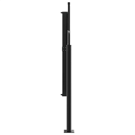 Tenda da Sole Laterale Retrattile Marrone 117x300 cm
