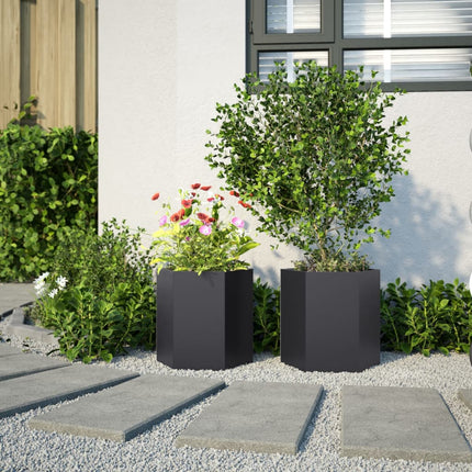 Fioriere da Giardino 2 pz Esagono Nero 46x40x45 cm Acciaio