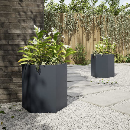 Fioriere da Giardino 2 pz Antracite Esagono 46x40x45 cm Acciaio