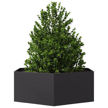 Fioriera da Giardino Nera Esagono 138x120x45 cm in Acciaio