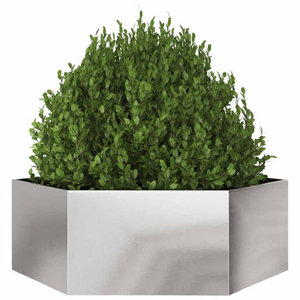 Fioriera da Giardino Esagono 138x120x45 cm in Acciaio Inox