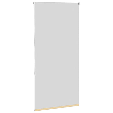 Tenda a Rullo Oscurante 70x150 cm Larghezza Tessuto 65,7 cm