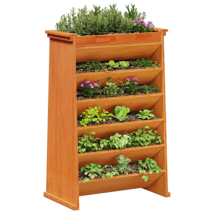 Fioriera Erbe 6 Ripiani Marrone Cera 69x40x101,5cm Legno Pino