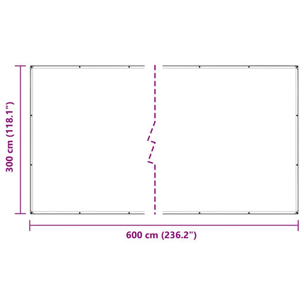 Telone Trasparente con Occhielli 3x6 m in Polietilene