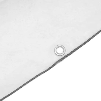 Telone Trasparente con Occhielli 8x12 m in Polietilene