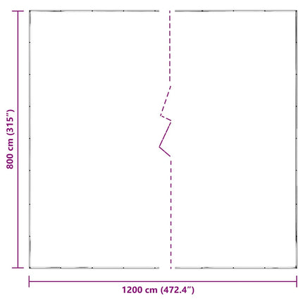 Telone Trasparente con Occhielli 8x12 m in Polietilene