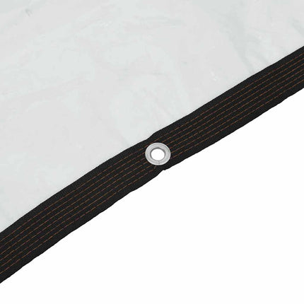Telone Trasparente con Occhielli 4x8 m in Polietilene
