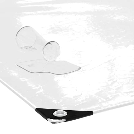 Telone Trasparente con Occhielli 2x2 m in PVC