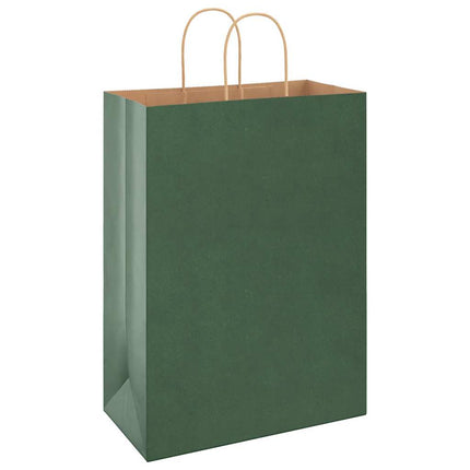 Sacchetti di Carta Kraft 50 pz con Manici Verdi 32x17x44 cm