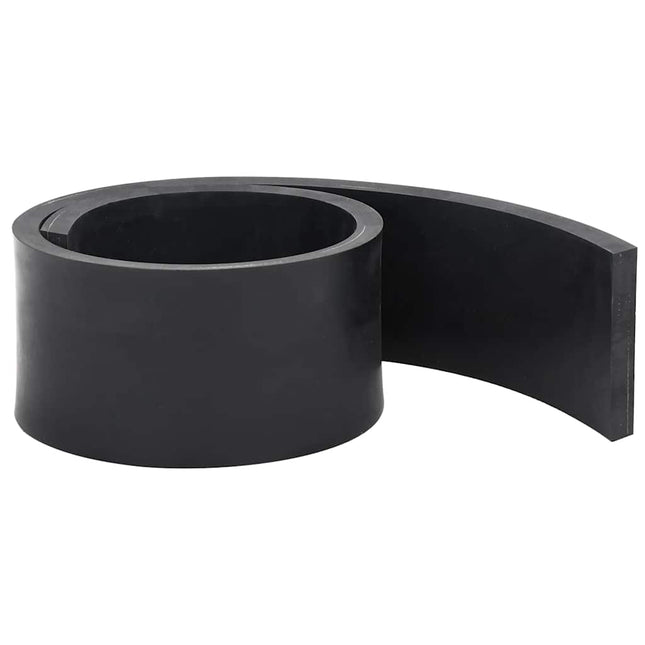Bordo in Gomma per Spazzaneve Nero 100x10x1 cm