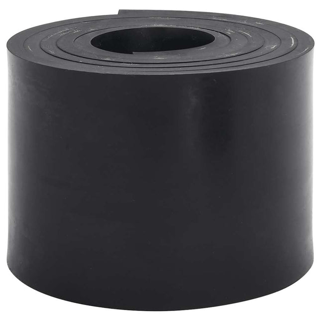 Bordo in Gomma per Spazzaneve Nero 250x15x1 cm
