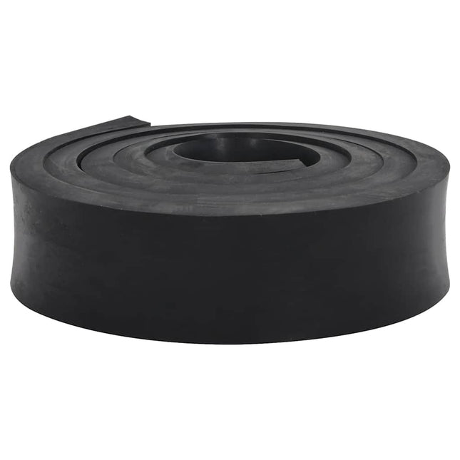 Bordo in Gomma per Spazzaneve Nero 250x8x2 cm