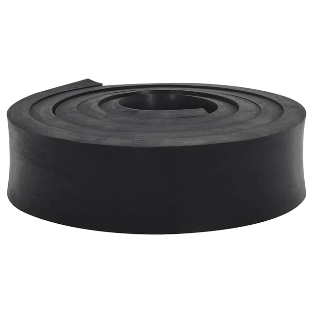 Bordo in Gomma per Spazzaneve Nero 250x10x2 cm