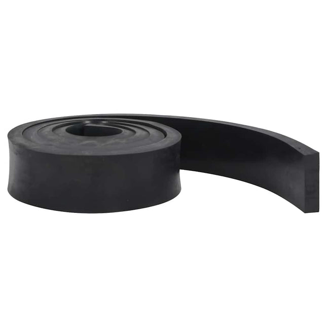 Bordo in Gomma per Spazzaneve Nero 250x10x2 cm