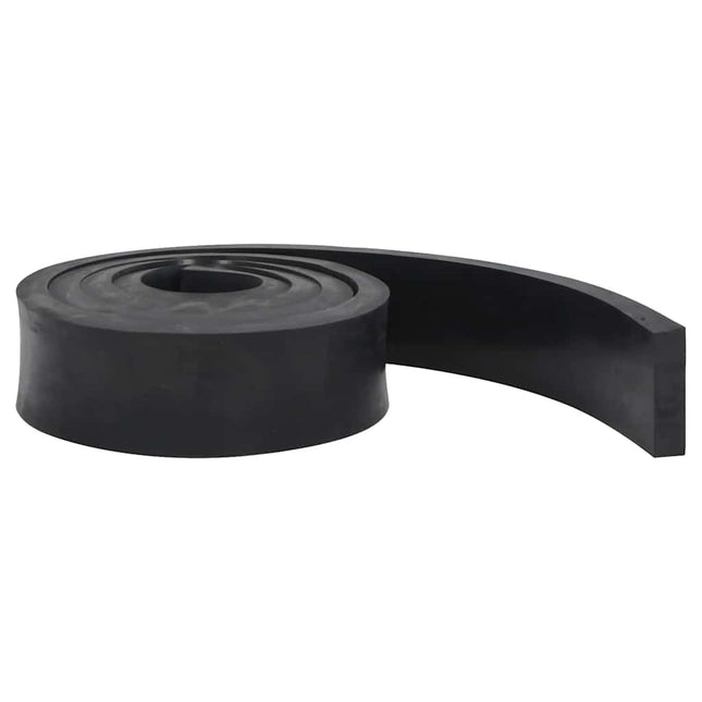 Bordo in Gomma per Spazzaneve Nero 300x10x2 cm