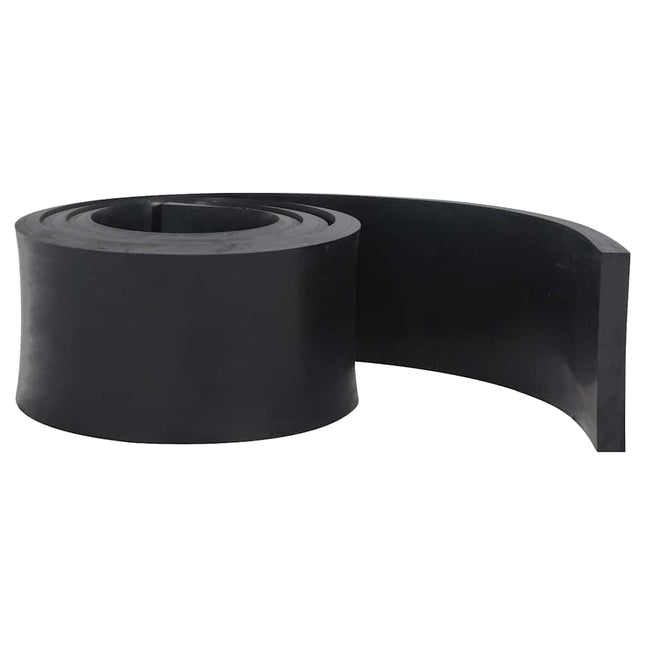 Bordo in Gomma per Spazzaneve Nero 250x15x2 cm