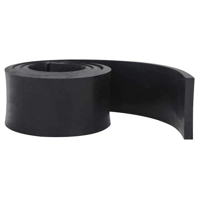 Bordo in Gomma per Spazzaneve Nero 300x15x2 cm